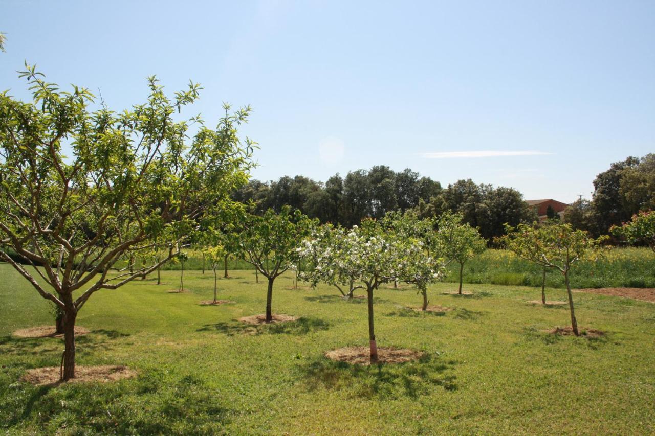 Masia Rural Can Poch 팔스 외부 사진